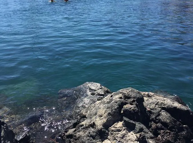 Apto Tagoro, Daire *